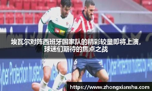 B体育官网
